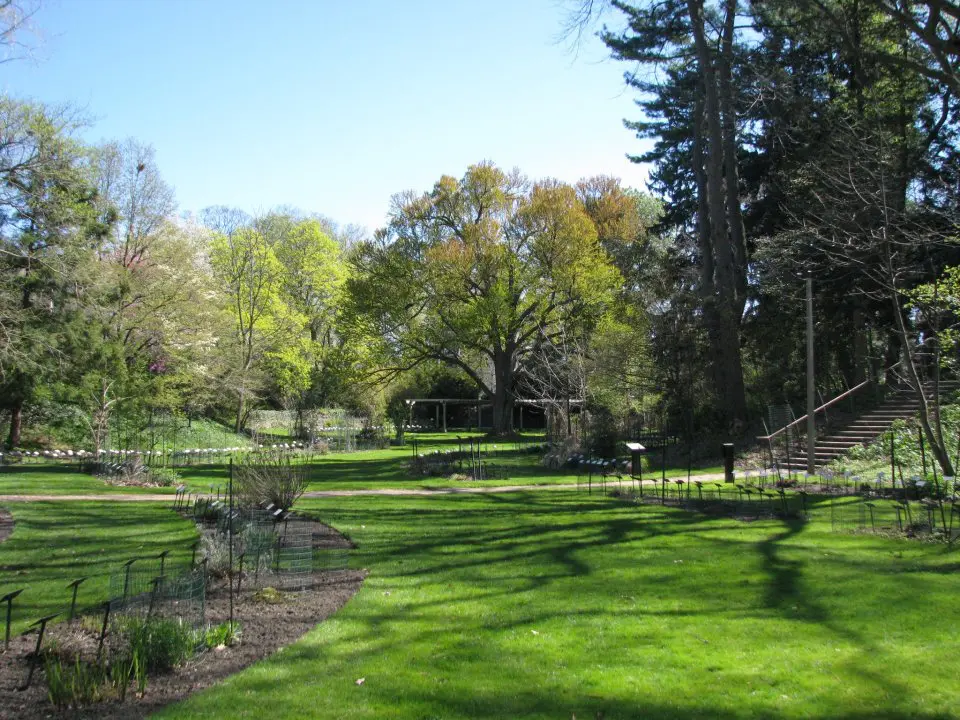 W.J. Beal Botanical Gardens 