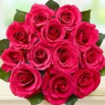 Deep pink roses make an excellent choice for close friends on Valentine’s Day, as they symbolize happiness, gratefulness, and appreciation.