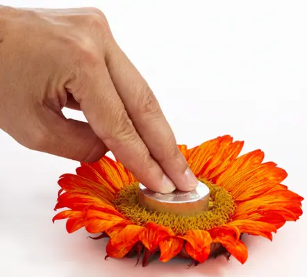 sunflower crafts with pressing votive into sunflower