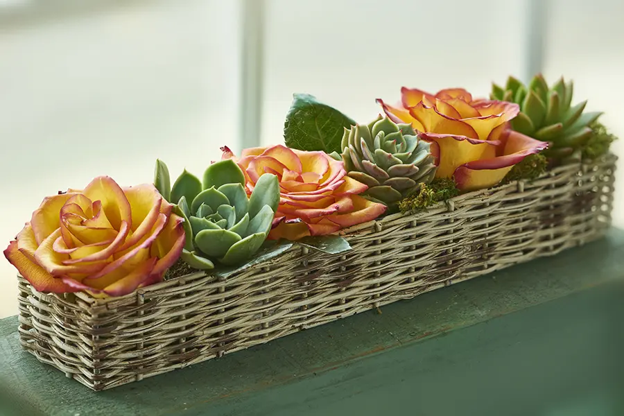 https://www.1800flowers.com/blog/wp-content/uploads/2012/09/wax-rose-and-succulents.jpg.webp