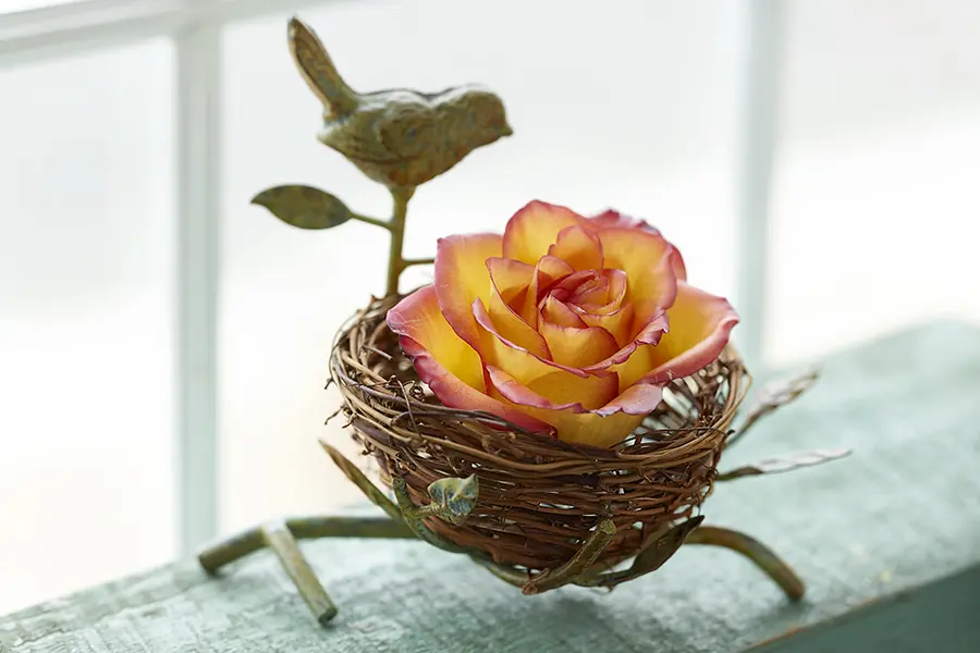 a photo of wax flowers with a wax rose in birds nest display