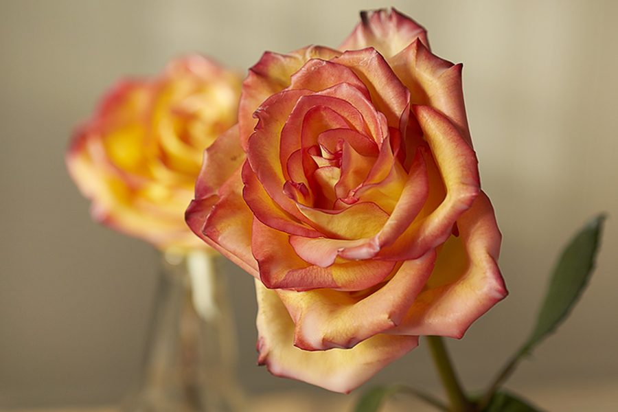 a photo of wax flowers with wax roses and succulents