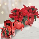Poinsettia Express Poinsettia Express