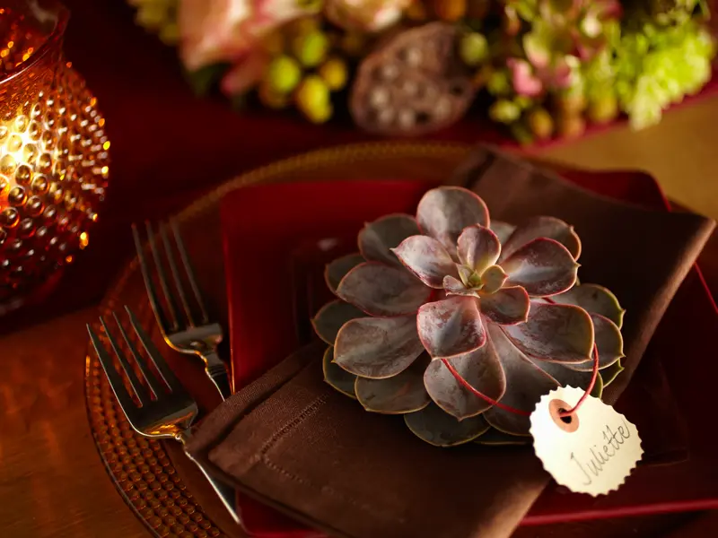 thanksgiving table settings with Elegant name cards for succulents