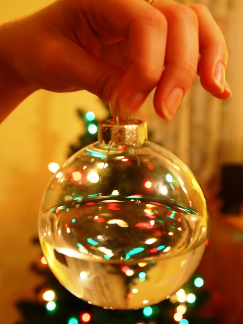 A Glass Ornament Filled With Water