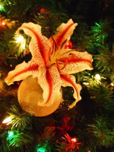How to Place a Fresh Flower Ornament Onto a Christmas Tree