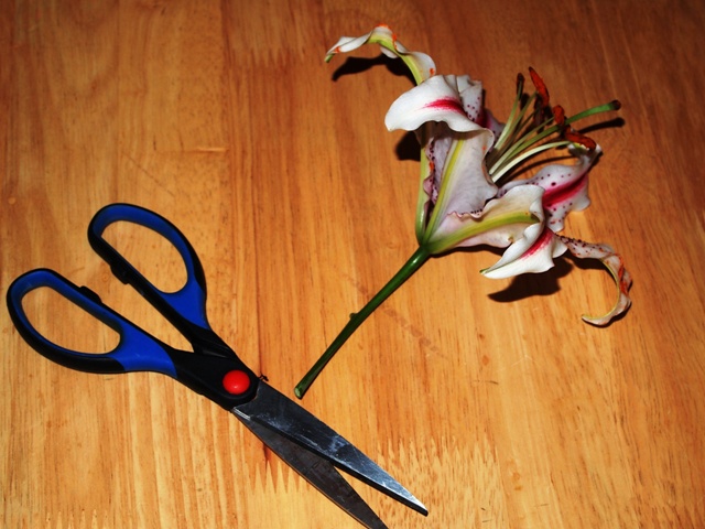 flower ornaments with How to Trim a Flower