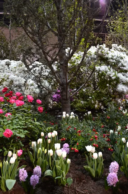 Tulip Landscape