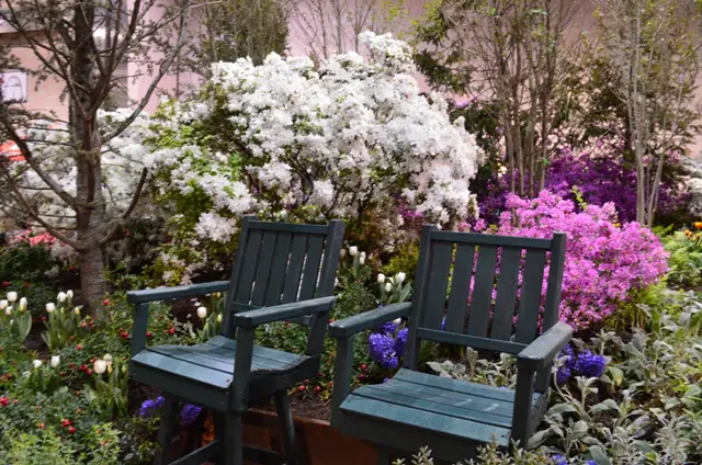 Benches in a Garden