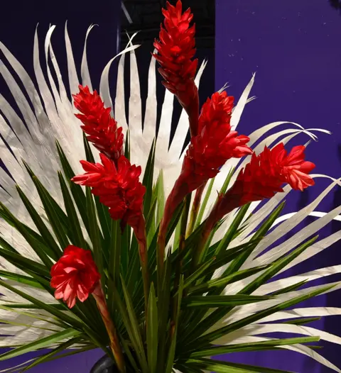 Tropical Flower Arrangement