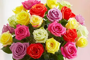sorority flowers with Multicolored Sorority Roses