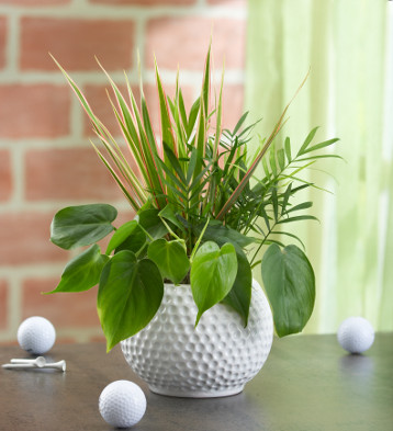 Father’s Day Crafts: How to Make a DIY Planter for Dad