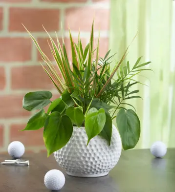 a photo of a DIY Father's Day Planter