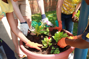 Third Graders of Walnut Street Elementary School Learning all About Plants From the 1-800-Flowers.com Team