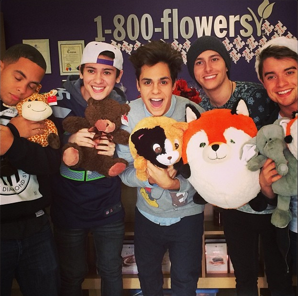 Midnight Red Visiting the 1800Flowers Carle Place Florist Shop