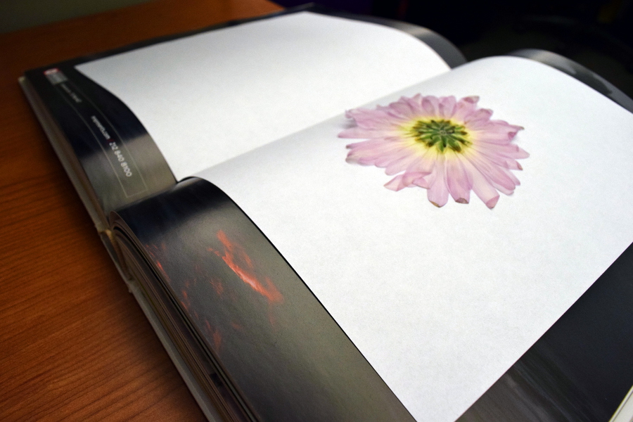 pressed flowers with changing paper every few days