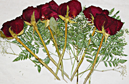 How to Press Flowers in Wax Paper