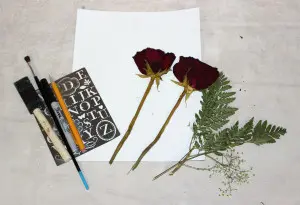 pressed-flower-card_supplies