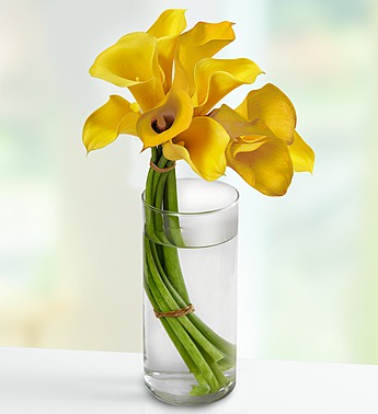 captivating-calla-lilies