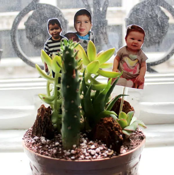 Father’s Day Craft Ideas: How to Make a Photo Plant for Dad