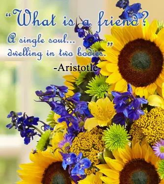 friendship-quotes-aristotle-what-is-a-friend