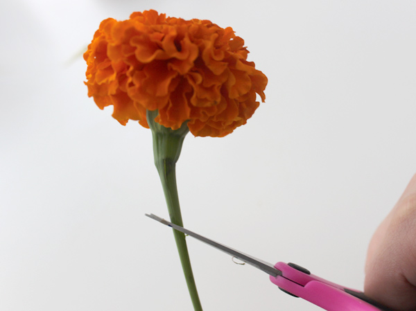 apple vase with cutting flower