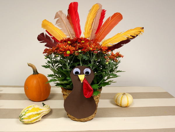 DIY Thanksgiving Turkey Plant Craft for Kids