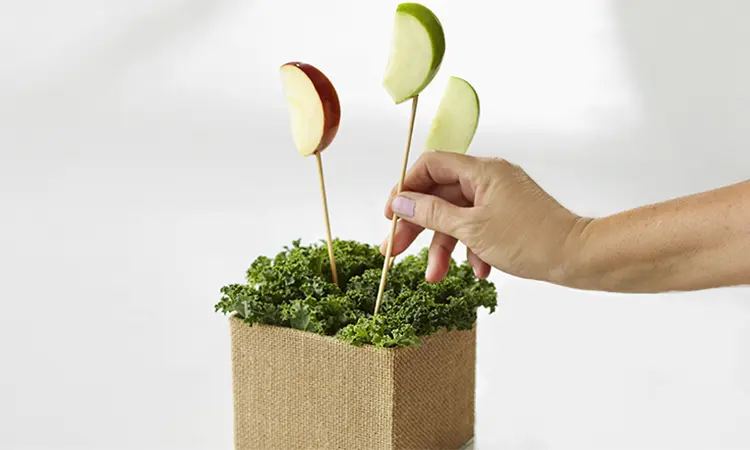 chocolate-covered-apples-diy