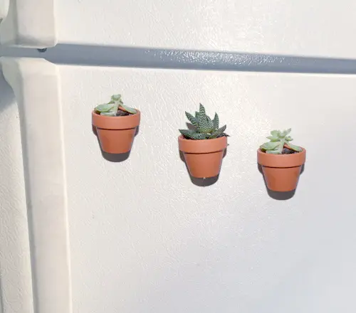 diy-succulent-magnets-on-refrigerator