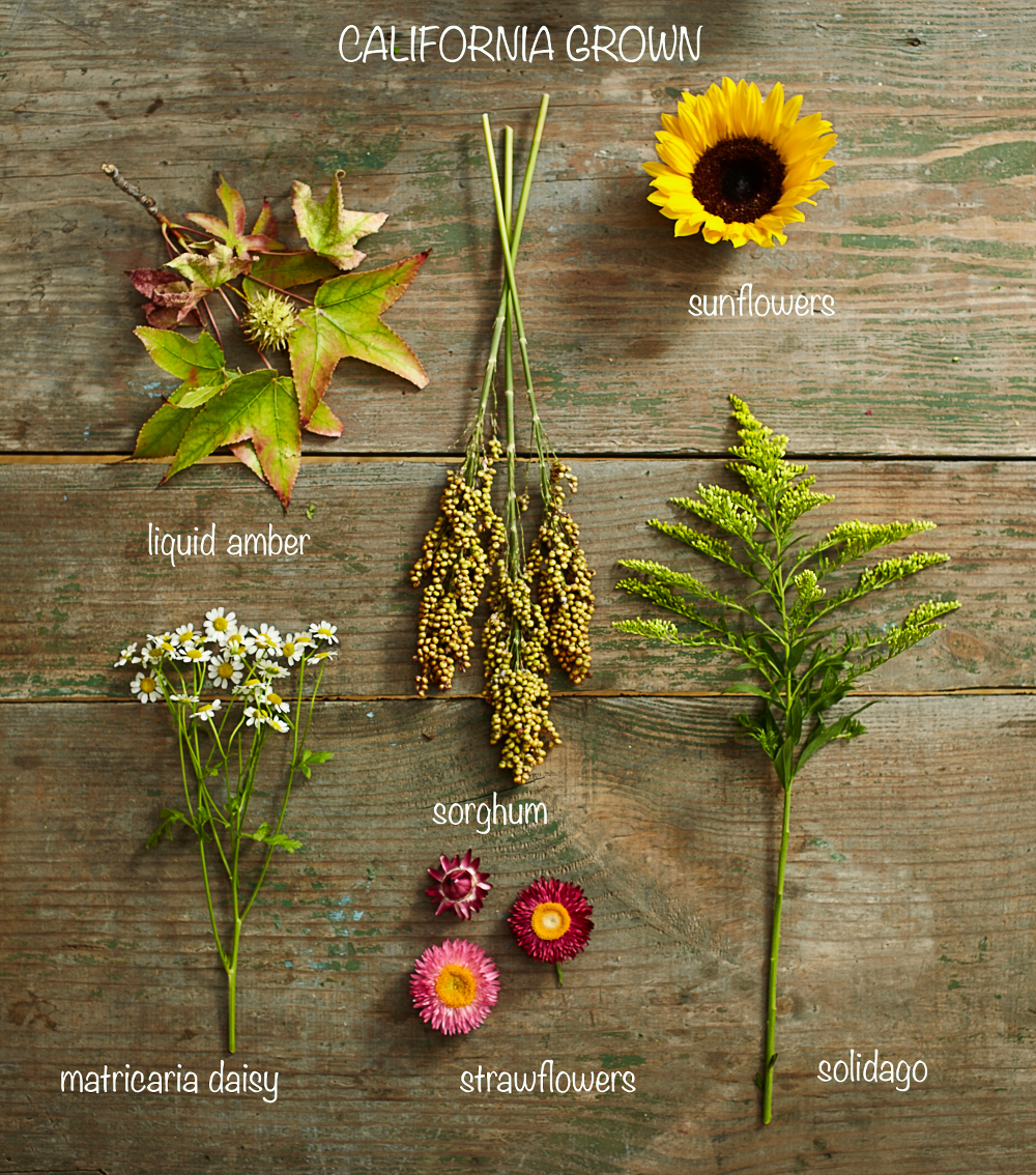 Flowers Grown in California