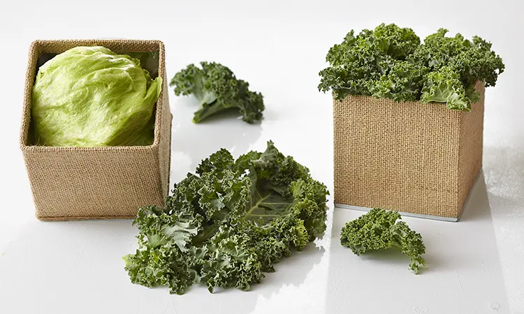lettuce-kale-dessert-bar