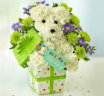 flowers-that-come-in-white-carnations