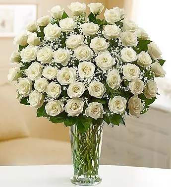 flowers-that-come-in-white-roses