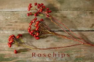 rose-hips