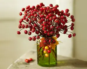 rose-hips-green-vase