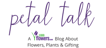 Petal Talk