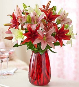 red-white-pink-lilies