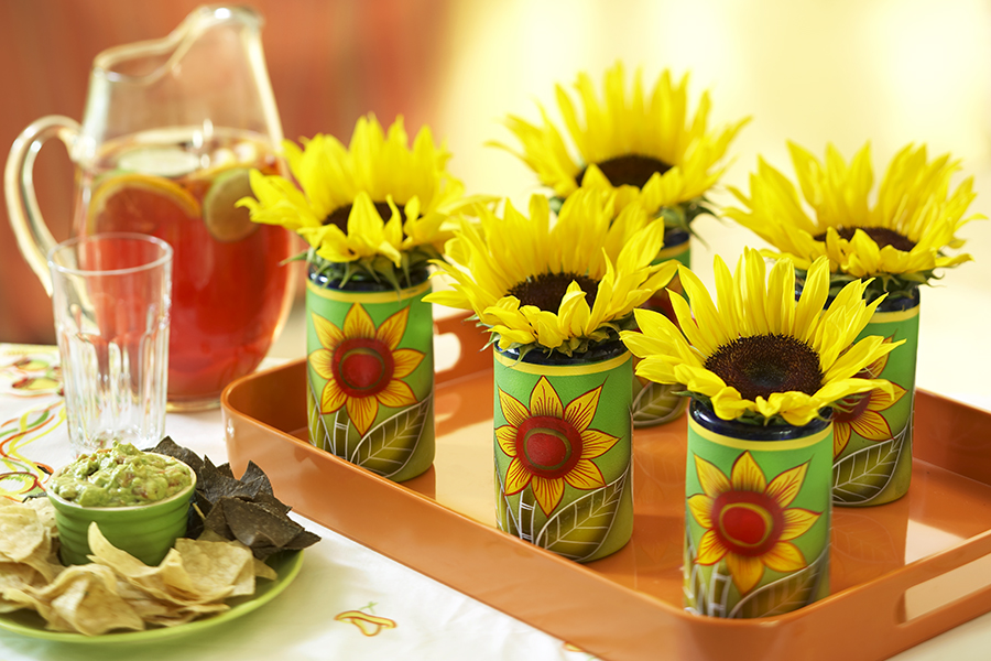 Ideas for Cinco de Mayo Party and Mexican Theme Party Decor - Parties With  A Cause