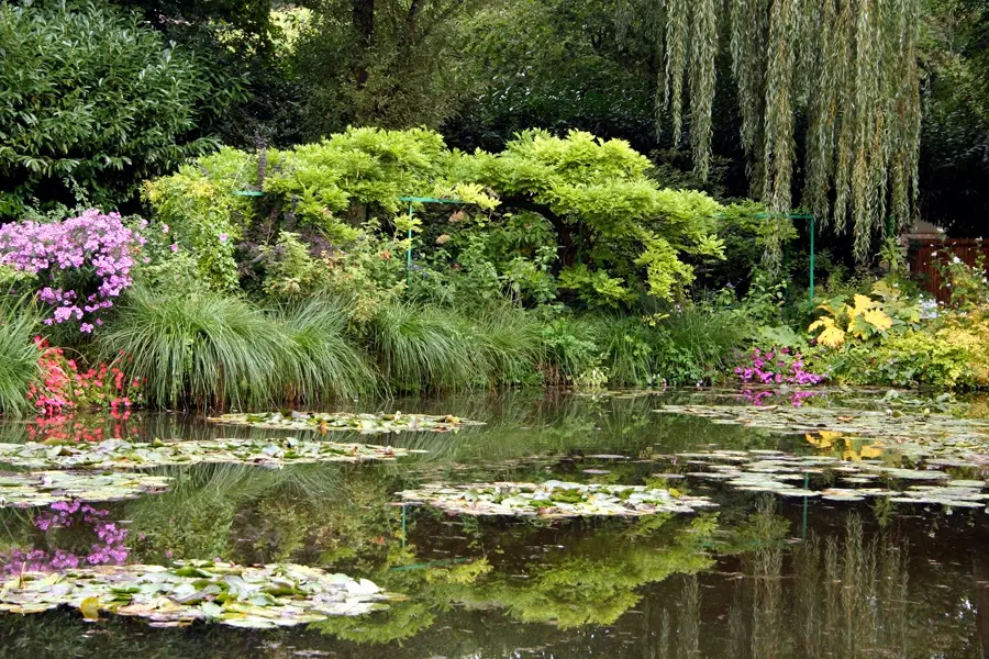 claude-monets-lily-pond-france