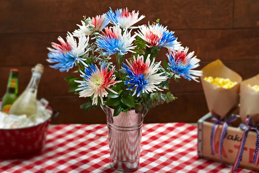 4th of july crafts with red, white and blue spier mums