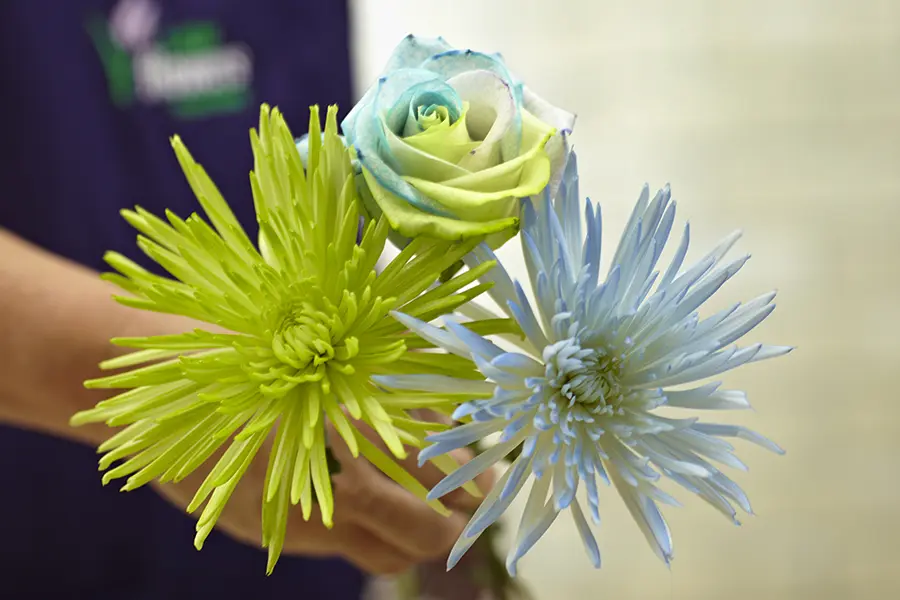 painted flowers with blue and green painted flowers