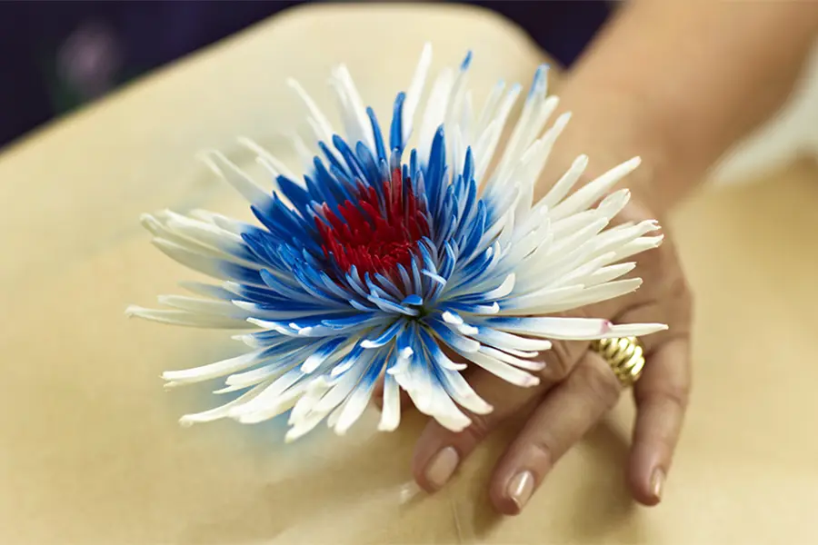 How to Make Painted Flowers