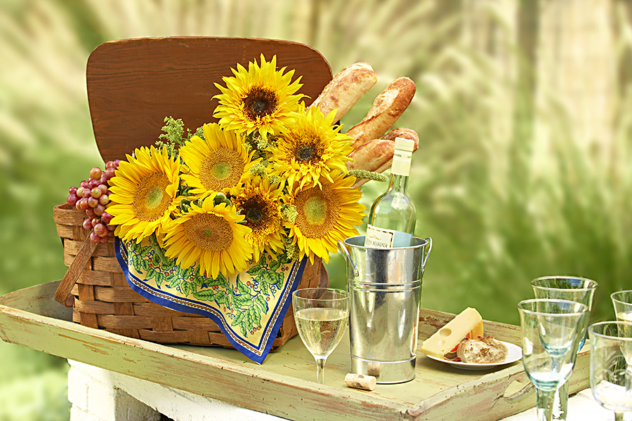 French Country Picnic Setup