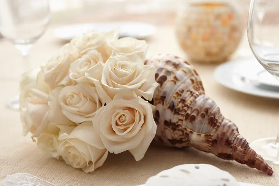 Coastal Flowers- Roses in a Conch Shell
