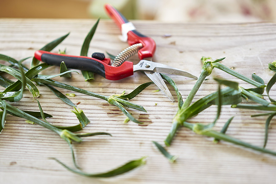 pumpkin decorations with Take Cut Carnation Stems to Make Pumpkin Stem