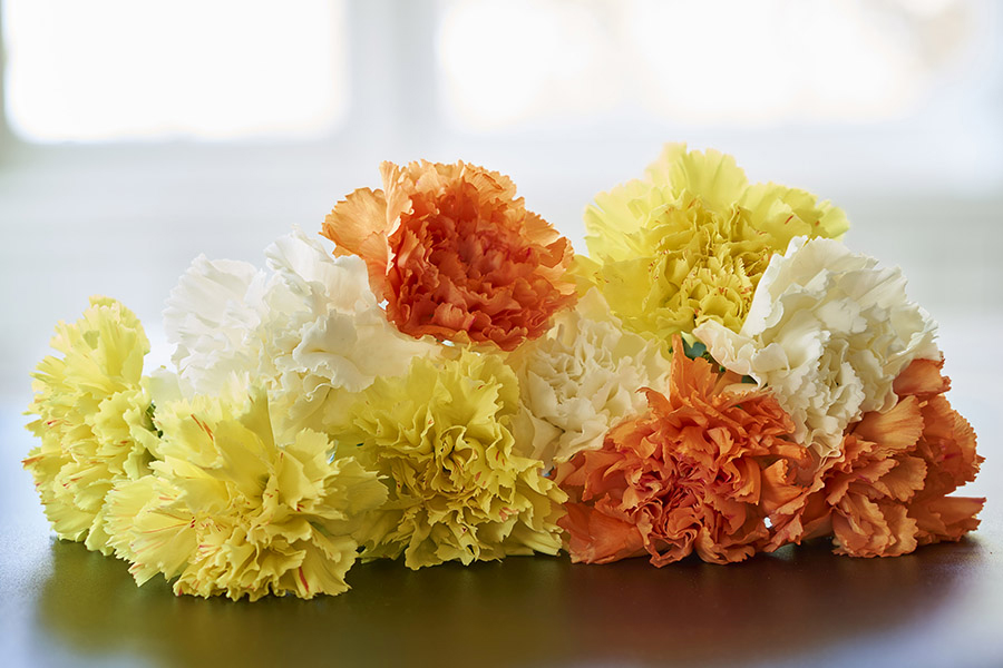 Yellow, Orange & White Carnations