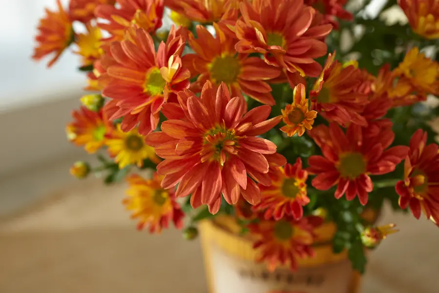 Color Schemes to Use When Decorating With Flowers This Fall