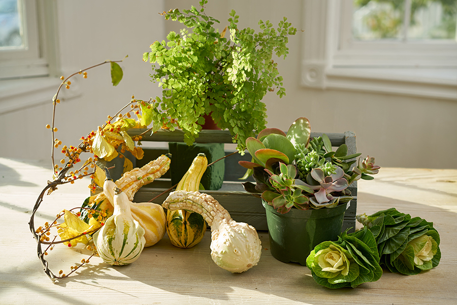 Ideas de centro de mesa de acción de gracias con ingredientes de calabaza Trug