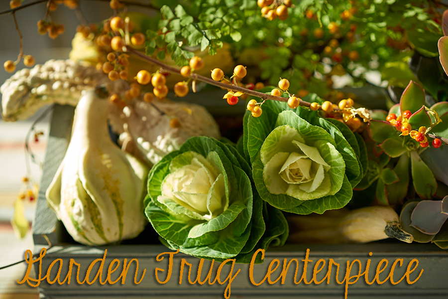 thanksgiving centerpiece ideas with DIY Garden Trug Centerpiece