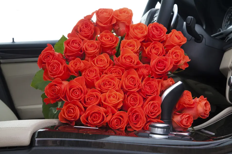 how to transport flowers with roses in car